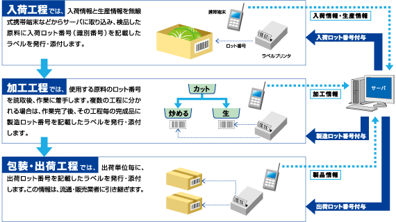 摜FHiHւ̃VXe