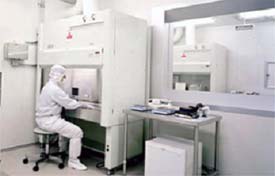 Photo:Cell processing room