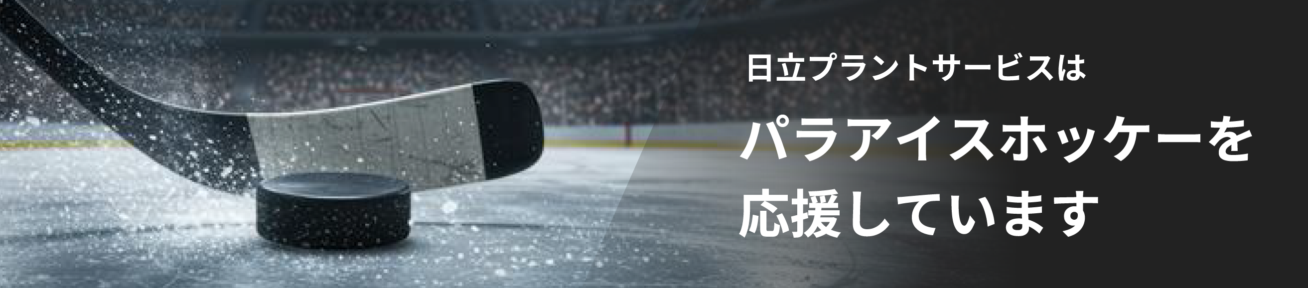 �����v�����g�T�[�r�X�̓p���E�A�C�X�z�b�P�[���������Ă��܂��B