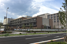 �C���[�W�摜�F����