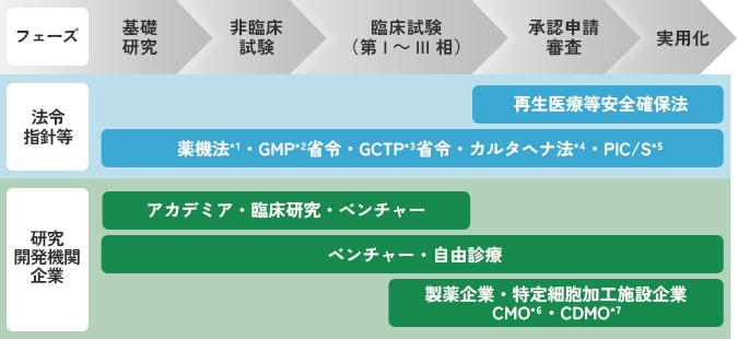 開発フェーズ(@基礎研究、A非臨床試験、B臨床試験(第1〜3相)、C承認申請審査、D実用化)の図。